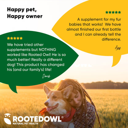 Joint & Muscle Health (Cats & Small Dogs)