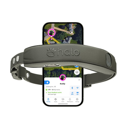 Halo Collar 5 Wireless Dog Fence & GPS Dog Collar, Keep Your Dog Safely Contained Outdoors with App-Controlled Boundaries and Real-Time Tracking, One Size, Blaze