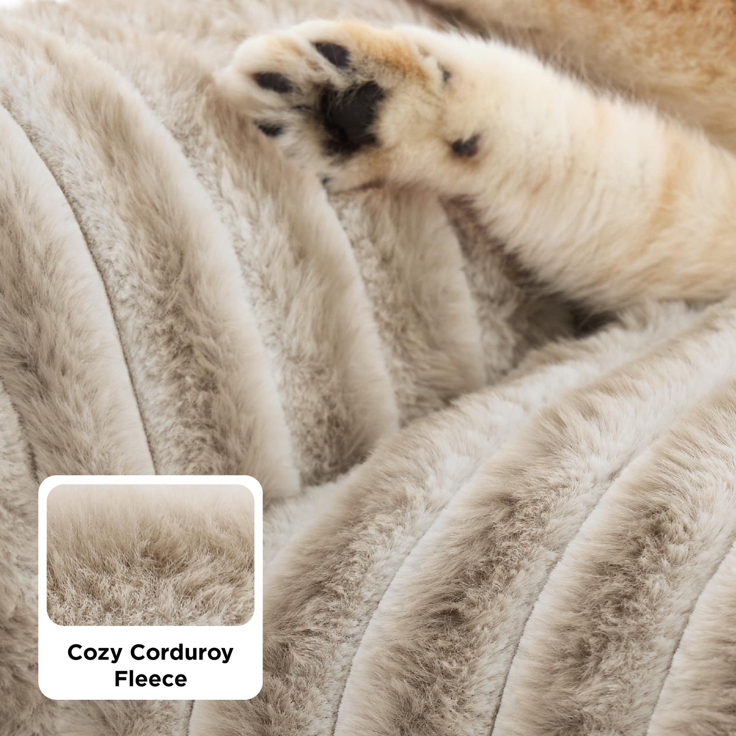 Bedsure ComfyFleece™ Cute Cat Couch for Pets - As Seen on TV on Good Day New York, Fluffy Cats beds for Indoor Cats with Removable Washable Cover, Supportive Pet Sofa, 24inch, Cream
