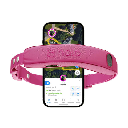 Halo Collar 5 Wireless Dog Fence & GPS Dog Collar, Keep Your Dog Safely Contained Outdoors with App-Controlled Boundaries and Real-Time Tracking, One Size, Blaze