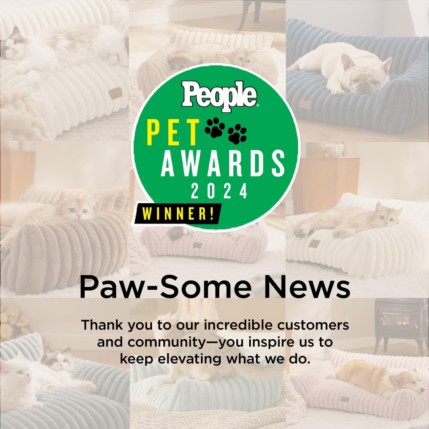 Bedsure ComfyFleece™ Cute Cat Couch for Pets - As Seen on TV on Good Day New York, Fluffy Cats beds for Indoor Cats with Removable Washable Cover, Supportive Pet Sofa, 24inch, Cream