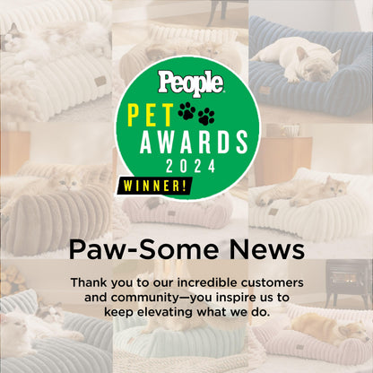 Bedsure ComfyFleece™ Cute Cat Couch for Pets - As Seen on TV on Good Day New York, Fluffy Cats beds for Indoor Cats with Removable Washable Cover, Supportive Pet Sofa, 24inch, Cream