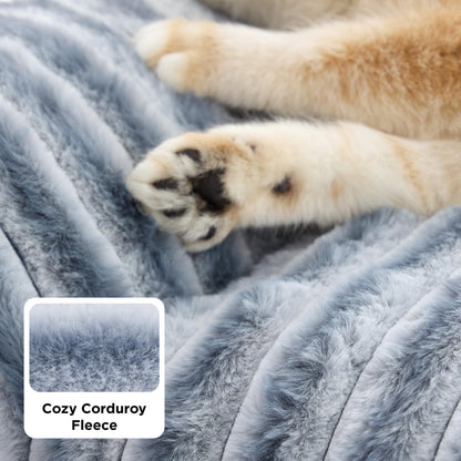 Bedsure ComfyFleece™ Cute Cat Couch for Pets - As Seen on TV on Good Day New York, Fluffy Cats beds for Indoor Cats with Removable Washable Cover, Supportive Pet Sofa, 24inch, Cream