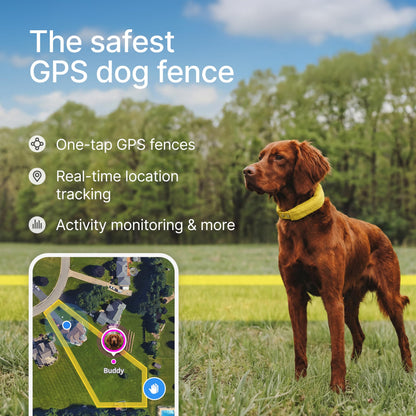 Halo Collar 5 Wireless Dog Fence & GPS Dog Collar, Keep Your Dog Safely Contained Outdoors with App-Controlled Boundaries and Real-Time Tracking, One Size, Blaze