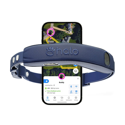 Halo Collar 5 Wireless Dog Fence & GPS Dog Collar, Keep Your Dog Safely Contained Outdoors with App-Controlled Boundaries and Real-Time Tracking, One Size, Blaze