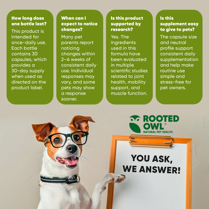 Joint & Muscle Health (Cats & Small Dogs)