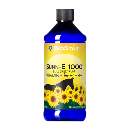 Sunn-E 1000