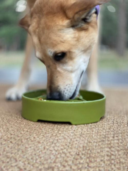 Pine Tree Christmas eBowl Deep Slow Feeder Dog Bowl for Enrichment | USA Made