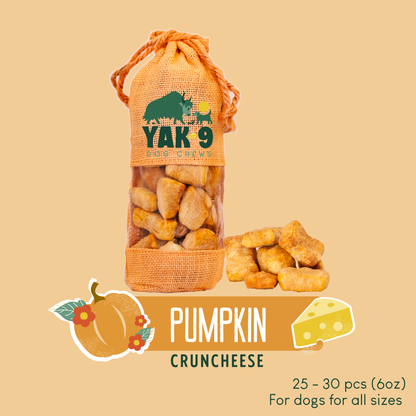 Pumpkin Cheese Chews for Dogs